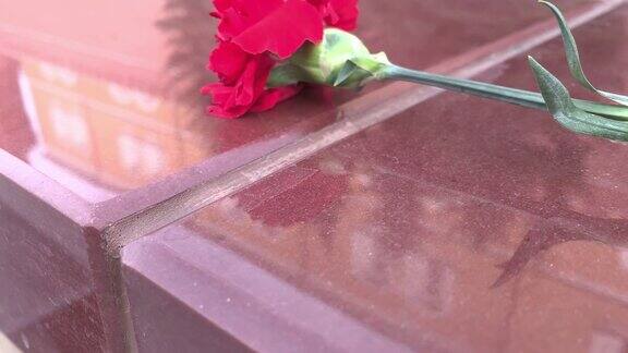 在阵亡将士纪念日红色康乃馨花摆放在无名战士纪念碑和永恒火焰旁的花岗岩石板上象征着伟大的卫国战争中的胜利和英雄主义