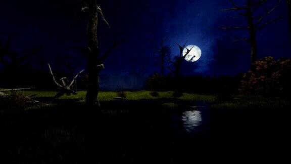 迷雾之夜阴森森的沼泽上挂着一轮明月