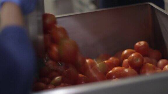 商业厨房食物准备-把番茄做成汤