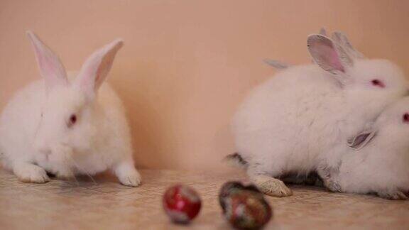 一个装满彩绘复活节彩蛋的篮子里有一只复活节兔子