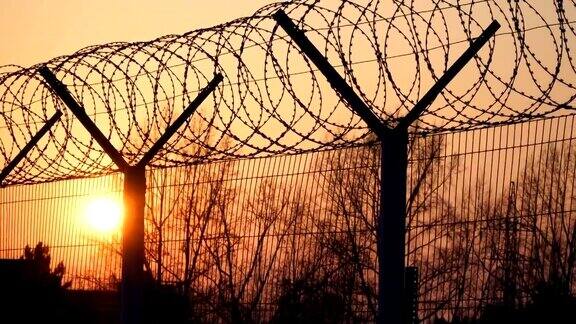 日落时分监狱的铁丝网明亮的阳光和树木剪影自由4k