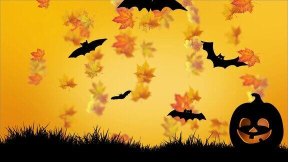 万圣节的橙色南瓜在草地上黑色的蜘蛛和蝙蝠在秋天秋天的背景万圣节贺卡庆祝节日