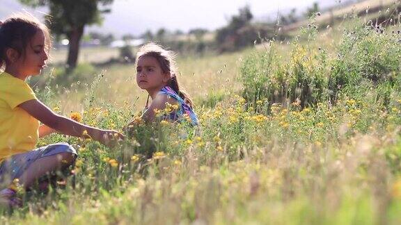 小女孩在花丛中玩耍