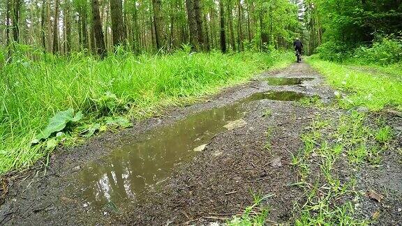 在泥泞的森林小径上骑自行车的人