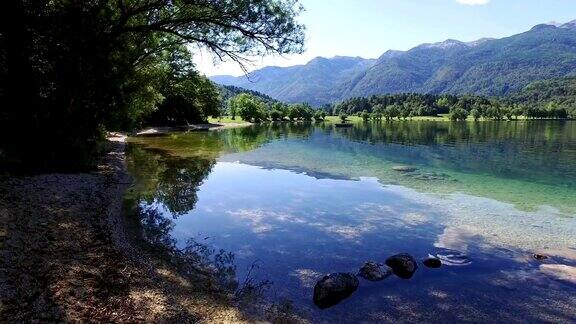 早晨的博欣湖令人惊叹JulianAlps的Bohinj山谷有清澈的水和美丽的风景特里格拉夫国家公园斯洛文尼亚欧洲