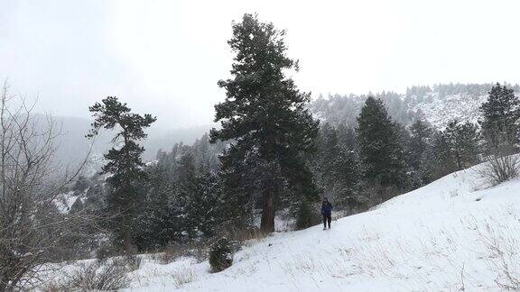高清视频男人雪鞋雪山熊溪莫里森科罗拉多州