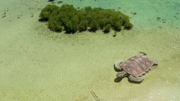 有沙滩的热带岛屿乌龟菲律宾巴拉望省