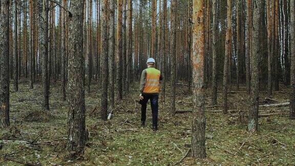 工程师检查员走看检查森林的状态并把数据写进占卜板头戴安全帽视察区域保护大自然穿着橙色背心和白色安全帽的男子