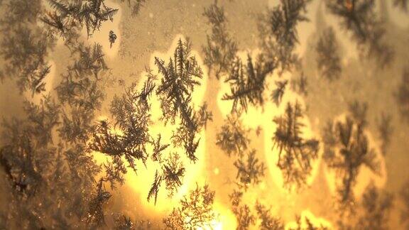 近距离观察:美丽的冰冻冰图案在寒冷的窗户在冬天日出