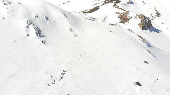 冬季高山登山队在高海拔山峰上排成一行行走的镜头