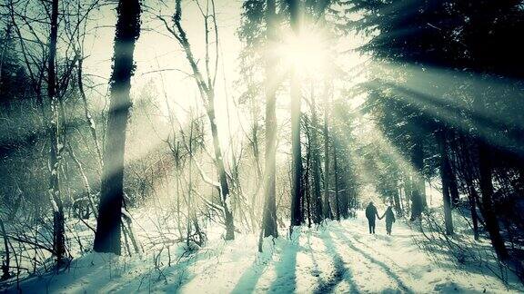 一对夫妇在白雪覆盖的森林里散步
