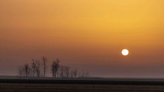 太阳从浓雾笼罩的乡村升起