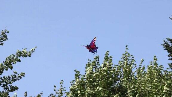 蝴蝶形的风筝在夏天的蓝天飞翔