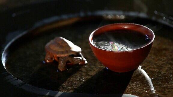 黑热茶杯乌龟高清录像