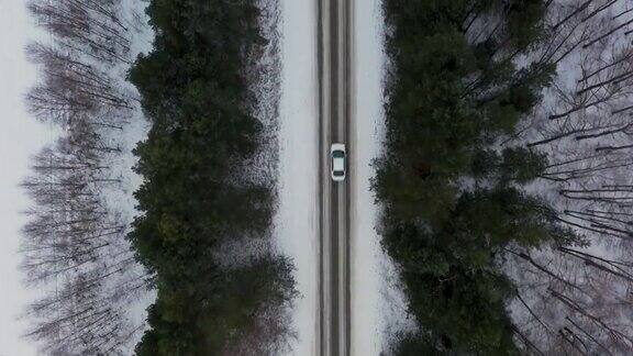 在针叶林中雪地行驶的鸟瞰图
