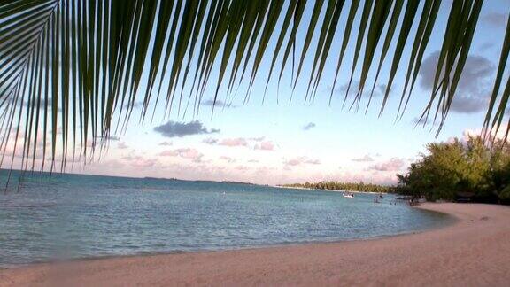 沙滩和棕榈树在蔚蓝的海洋背景