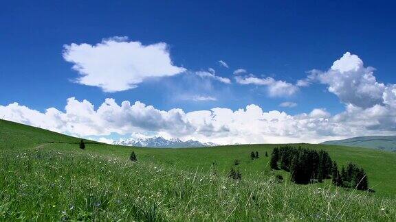 云漂浮在草地上