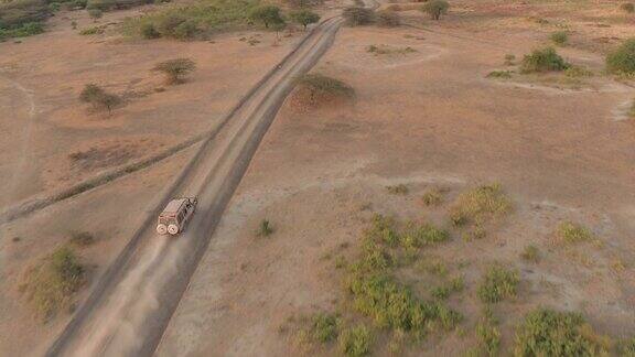 图片:在阳光明媚的早晨在非洲大草原上狩猎吉普车驾驶着游客