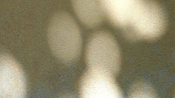 树叶的影子在墙上清迈泰国