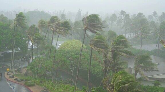 热带风暴带着暴雨和强风袭击该岛