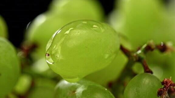 水滴从白色的葡萄浆果上落下