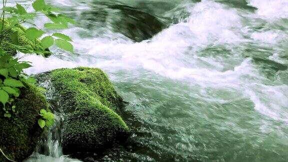 绿林溪流