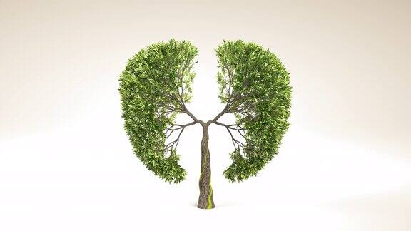 地球的肺生长在肺部形状的树环保