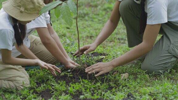 儿童志愿种植森林作为拯救世界特写