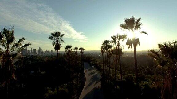 无人机俯瞰洛杉矶市中心阳光下的棕榈树