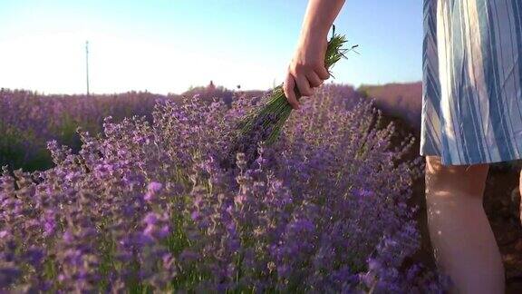 薰衣草地里的女人手里拿着一束花