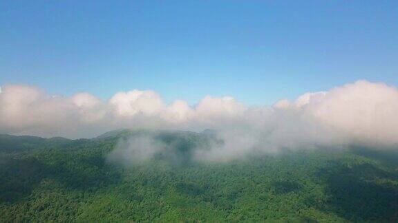 鸟瞰雨林山透过云层4KDCI