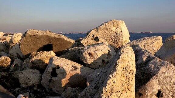 多石的海岸没有人只有流浪猫坐在石头上