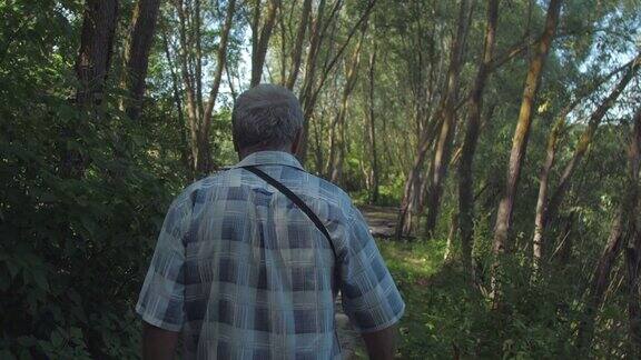 一个满头白发的男人在阳光明媚的日子里走在茂密的森林里