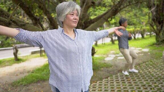 健康老年人太极日