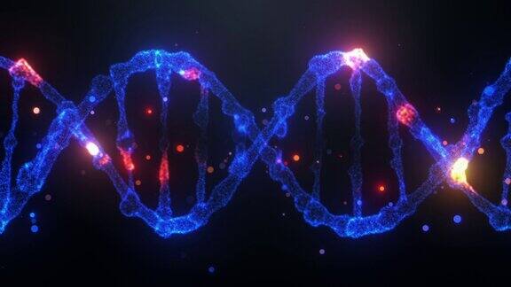 详细的DNA链