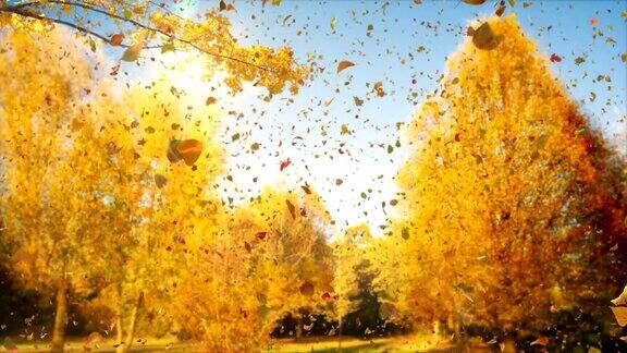 神奇的秋天-4k60fps诗意的秋天印象视频背景循环