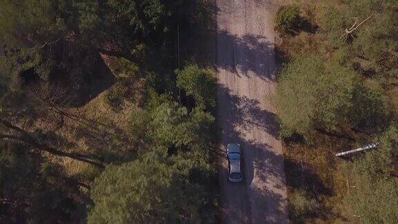 森林中公路上汽车的鸟瞰图