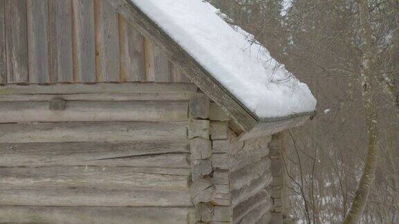 爱沙尼亚的一间屋顶上覆盖着厚厚的积雪的小屋
