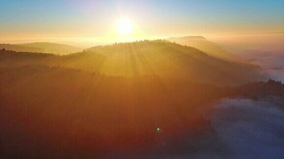 在明亮的太阳的背景下山谷里森林里针叶树的剪影