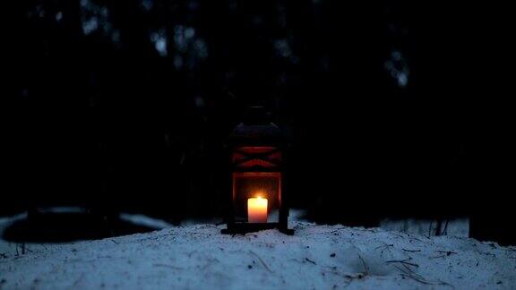 黄昏森林里的烛火灯笼