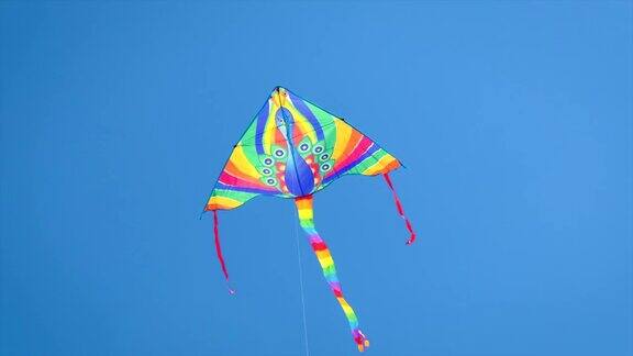 风筝在天空中飞有选择性的重点大自然