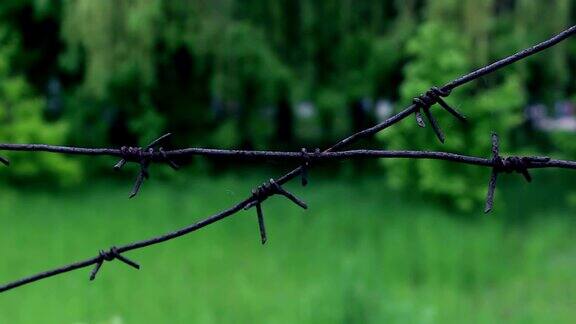 生锈的铁丝网森林后面有铁丝网