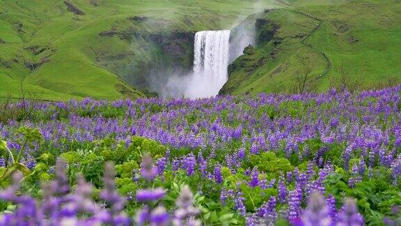 夏天冰岛的斯科加佛斯瀑布
