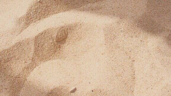 砂的质地和背景以沙滩上的沙子为背景