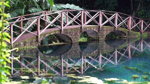 非洲坦桑尼亚湖上的倒影拱桥人行桥在池塘