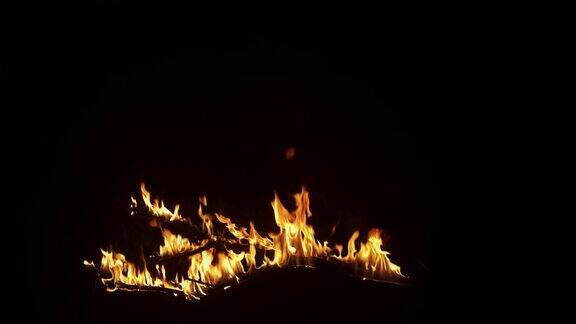 慢动作镜头:木头树枝燃烧在强烈的火焰在黑色背景火焰慢慢熄灭孤立模拟的特殊效果视觉效果视觉特效后期制作动画