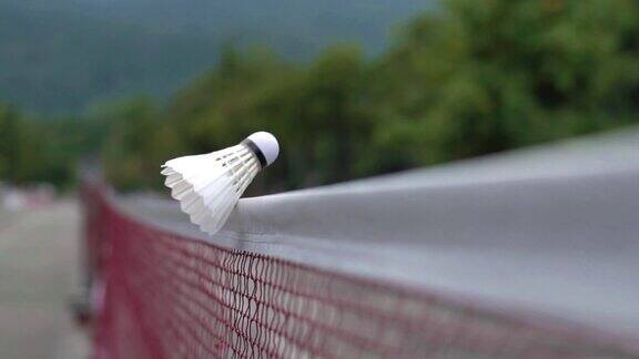 羽毛球过网