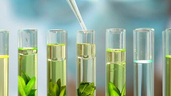 生物学家将油性液体添加到植物试管中影响环境污染