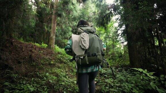 森林徒步旅行的女人