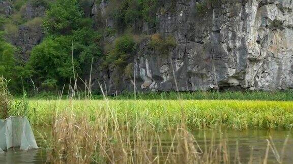 宁平镇附近的稻田和岩层